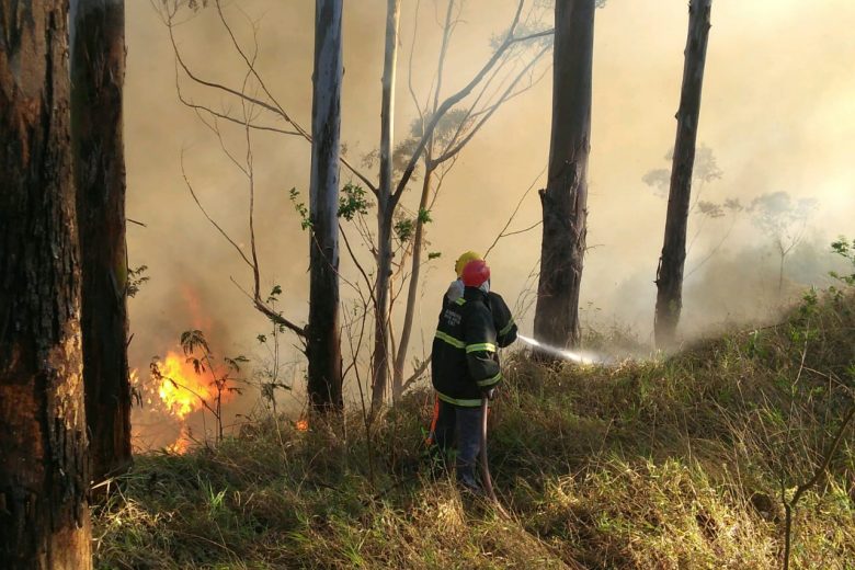 Incêndio em Barão de Cocais queima mais de 30 hectares de mata fechada