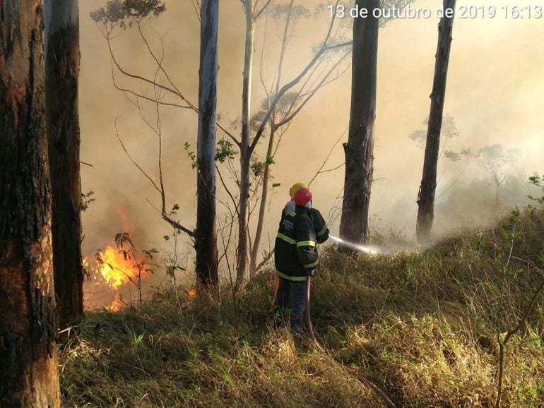 Incêndio em Barão de Cocais queima mais de 30 hectares de mata fechada