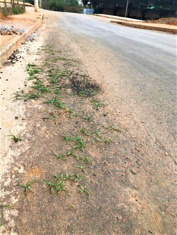 Vereadores reclamam da qualidade de obras públicas em Monlevade