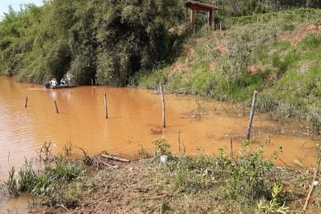 Escassez e altas temperaturas são responsáveis por mortes de peixes em represa, diz Vale