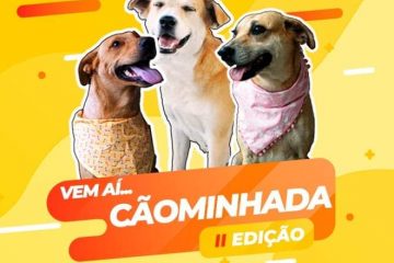 Ampari realiza segunda edição da “Cãominhada” em Itabira