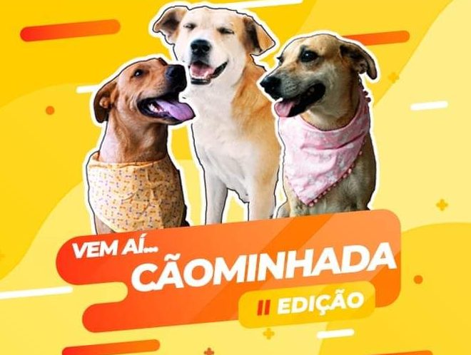 Ampari realiza segunda edição da “Cãominhada” em Itabira