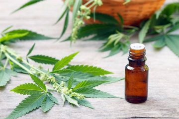 Anvisa libera registro e comercialização de remédios à base de maconha