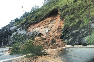 Chuva causa queda de árvores e barreiras nas estradas da região