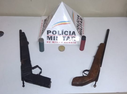 posse irregular arma de fogo