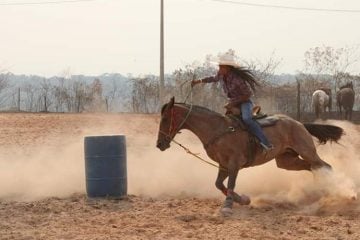 Devido às fortes chuvas, torneio de provas funcionais de hipismo é adiado