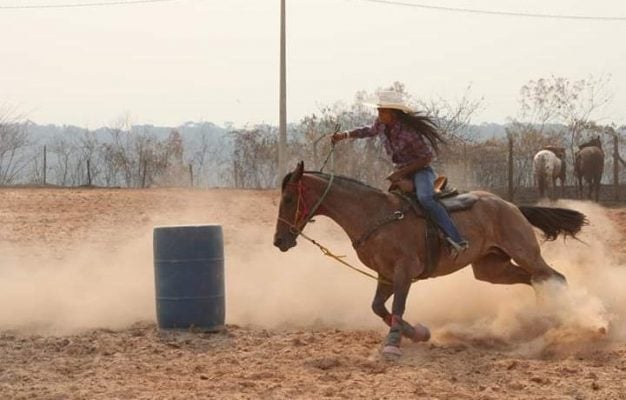 Devido às fortes chuvas, torneio de provas funcionais de hipismo é adiado