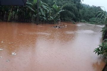 Rio Piracicaba transborda em Alvinópolis e moradores deixam suas casas