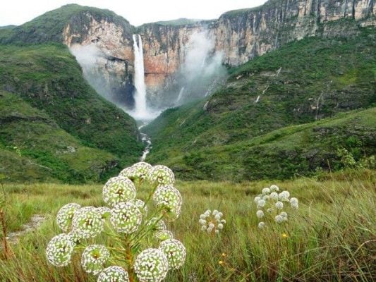 Acesso à Cachoeira do Tabuleiro, maior de MG, volta a ser permitido em Conceição