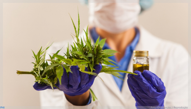 Belo Horizonte terá laboratório especializado em produtos de Cannabis