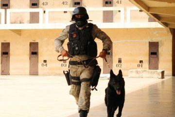 Cães ajudam na rotina de segurança das unidades prisionais do Estado