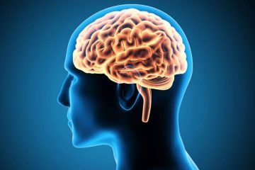 Exercícios para o cérebro melhoram desempenho profissional