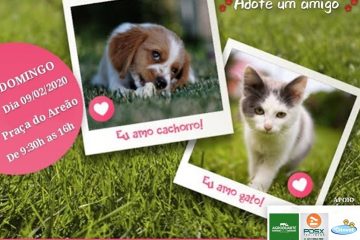 Grupo de proteção Apaixonados por Animais realiza feira de adoção neste domingo