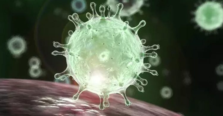 brasil-tem-1o-resultado-positivo-para-coronavirus