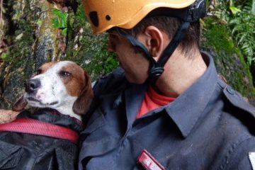 Após oito dias desaparecidos, cães são resgatados por bombeiros perto de cachoeira