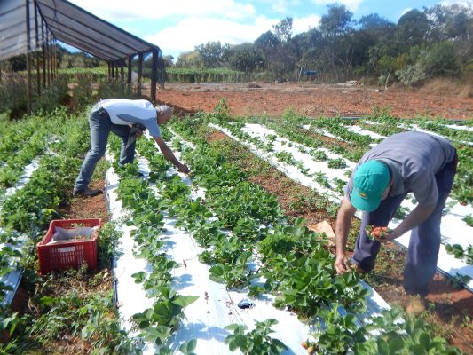 Prefeitura de Conceição do Mato Dentro realiza palestra sobre direito trabalhista