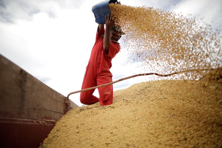 Capacidade de armazenagem agrícola chega a 177,7 milhões de toneladas