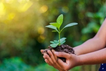 Dia Mundial do Meio Ambiente e a pandemia