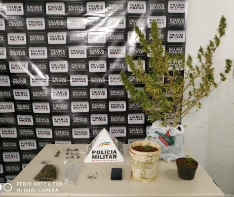 pm-apreende-5-pes-de-maconha-apos-flagrar-trafico-em-campo-de-futebol