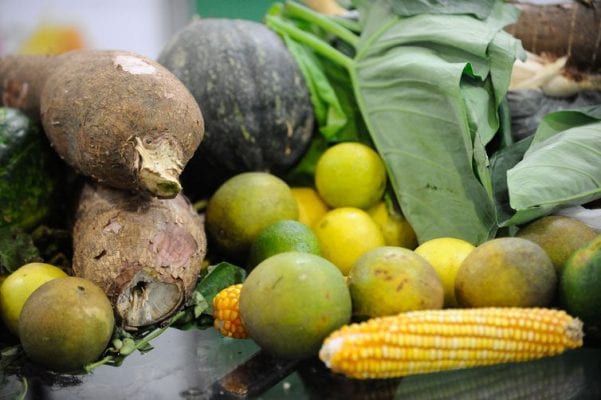 Desperdício global de alimento alcança 121 kg per capita; maior parte é em casa
