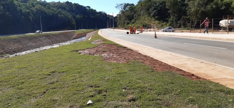 policia-e-acionada-apos-placas-de-grama-serem-furtadas-de-avenida-recem-inaugurada