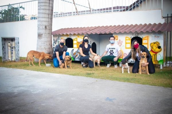 Cãodomínio