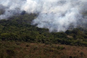 Minas Gerais está entre os estados com maior número de queimadas desde janeiro