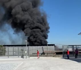 Incêndio atinge caminhões tanques no pátio de empresa na BR-381