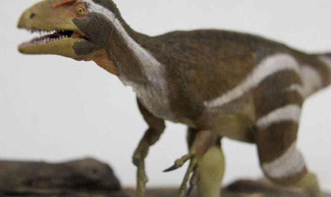 Cientistas descobrem duas novas espécies de dinossauro na China