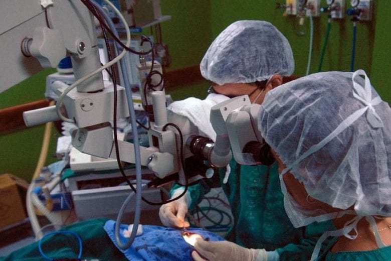 Saúde abre consulta pública sobre protocolo de transplante de rim