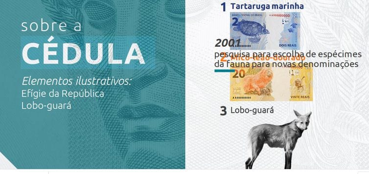 Nova cédula de R$200 entra em circulação na quarta-feira