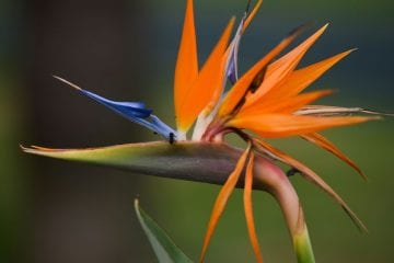 Primavera vai começar com grande frente fria no Brasil