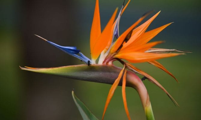 Primavera vai começar com grande frente fria no Brasil