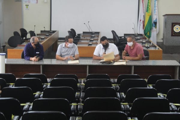 reunião de comissões