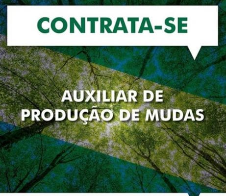 Instituto oferece 3 vagas para auxiliar de produção de mudas em Itabira