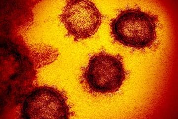 Novas variantes da Covid-19: é preciso mudar as medidas de proteção?