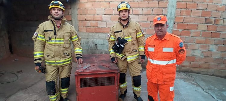 Onça parda é capturada pelos bombeiros no quintal de residência