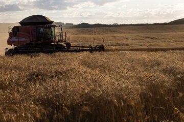 Vendas da indústria de máquinas tem alta de 38,5% em janeiro