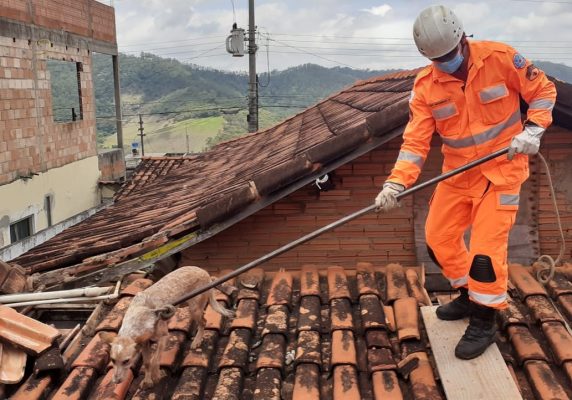 Corpo de Bombeiros resgata cachorro que ficou preso entre telhados em Monlevade