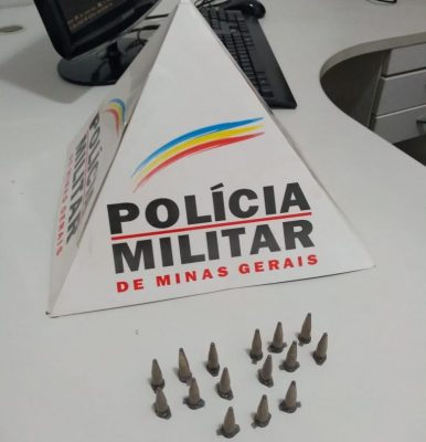 Jardim dos Ipês