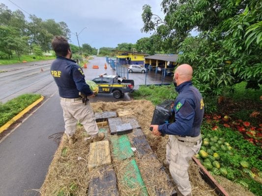 PRF apreende quase 4 toneladas de maconha em caminhão de melancia
