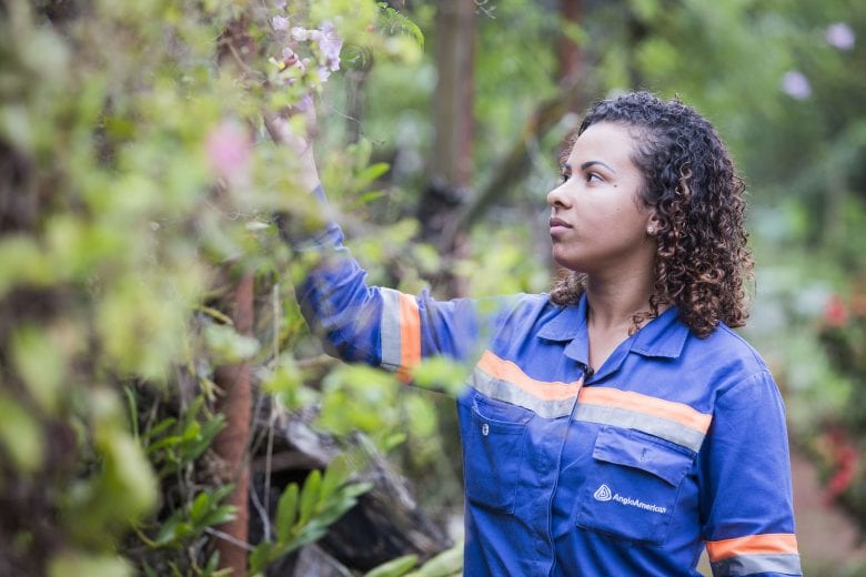 O impacto positivo dos investimentos em recuperação e preservação ambiental