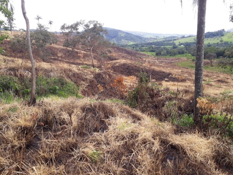Homem é autuado em quase R$ 19 mil por causar incêndio na região da Serra do Cipó