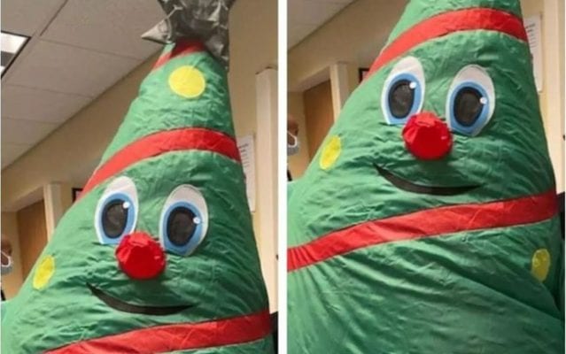 funcionária arvore de natal