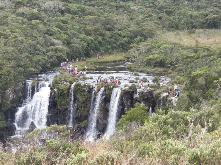 Turismo: FecomercioSP pede prorrogação de medidas de flexibilização Turismo: FecomercioSP pede prorrogação de medidas de flexibilização