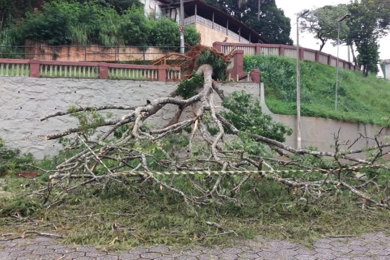 Queda de árvore atinge carro no estacionamento da Catedral, em Itabira