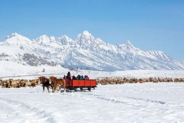 Estação de esqui e clima de Velho Oeste: conheça Jackson Hole, nos EUA