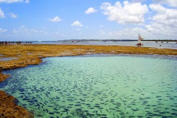 Onde ficar em Porto de Galinhas – dicas de hotéis e pousadas