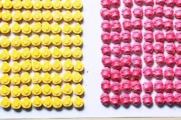 Polícia Federal prende um homem e apreende mais de 300 comprimidos de ecstasy