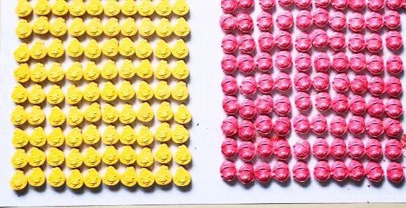 Polícia Federal prende um homem e apreende mais de 300 comprimidos de ecstasy